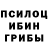 Галлюциногенные грибы Psilocybe KARILI