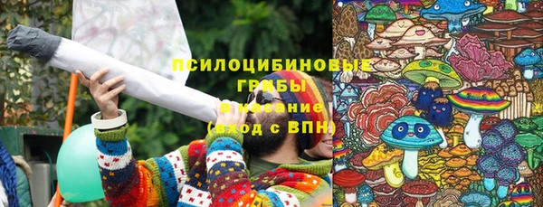 винт Медвежьегорск