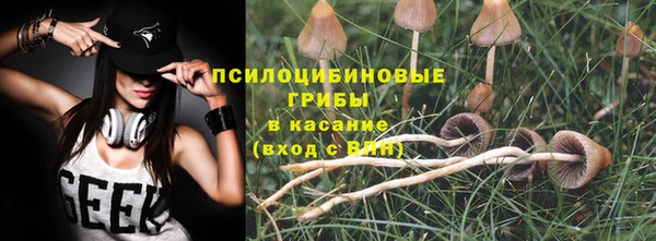 мдпв Медногорск