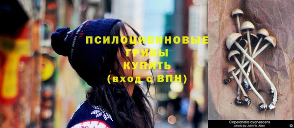 мдпв Медногорск