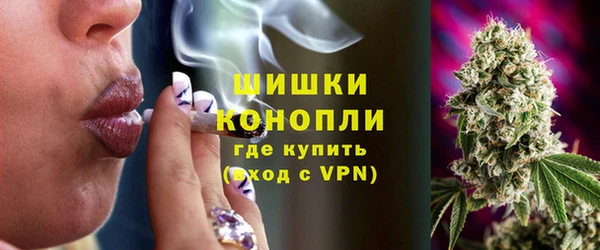 трава Бородино