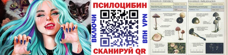 площадка какой сайт  KRAKEN ONION  Псилоцибиновые грибы Psilocybine cubensis  Ершов  закладка 