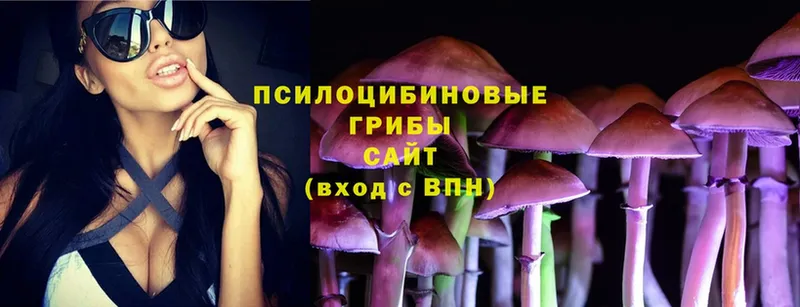 Псилоцибиновые грибы Magic Shrooms  Ершов 